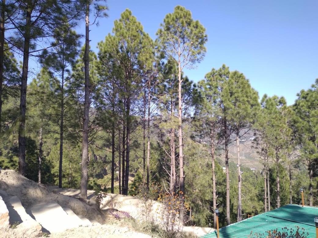Homestay Nature Villaas Basa
