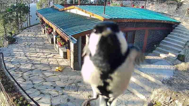 Homestay Nature Villaas Basa Pauri